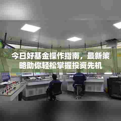 今日好基金操作指南，最新策略助你轻松掌握投资先机