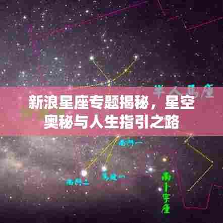 新浪星座专题揭秘，星空奥秘与人生指引之路