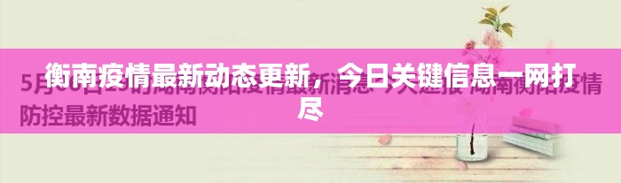 衡南疫情最新动态更新，今日关键信息一网打尽