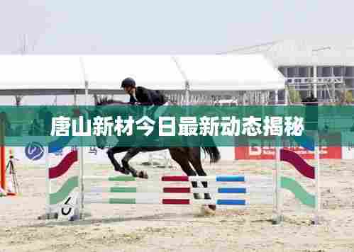 唐山新材今日最新动态揭秘