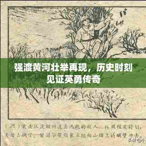 百鸟齐鸣 第7页