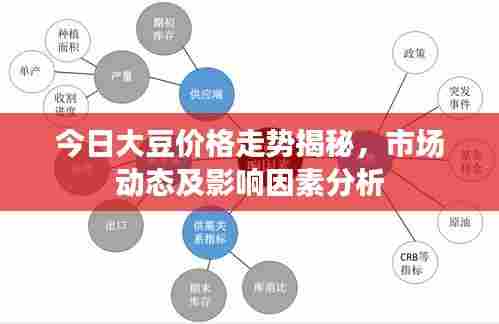 今日大豆价格走势揭秘，市场动态及影响因素分析