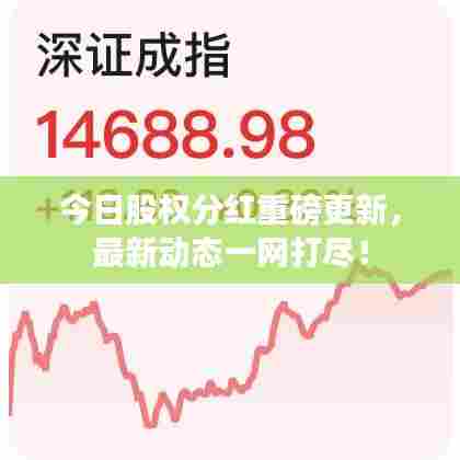 今日股权分红重磅更新，最新动态一网打尽！