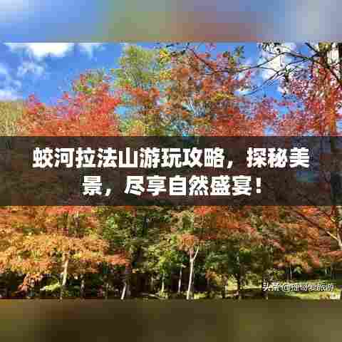 蛟河拉法山游玩攻略，探秘美景，尽享自然盛宴！