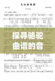 探寻骆驼曲谱的音乐之旅，百度带你启程