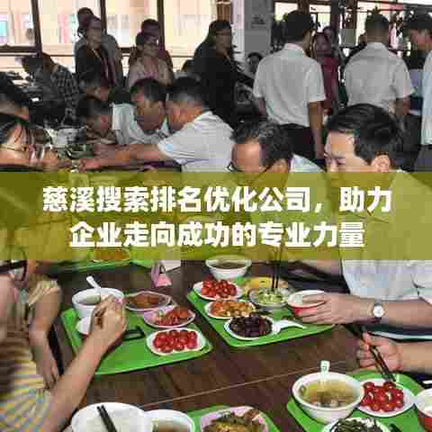 慈溪搜索排名优化公司，助力企业走向成功的专业力量