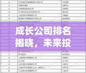 成长公司排名揭晓，未来投资潜力股全解析