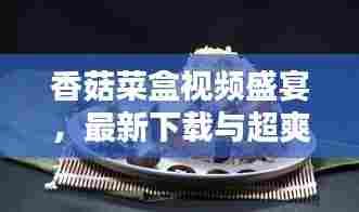 香菇菜盒视频盛宴，最新下载与超爽观看体验！
