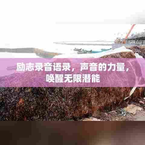 励志录音语录，声音的力量，唤醒无限潜能