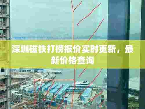 深圳磁铁打捞报价实时更新，最新价格查询