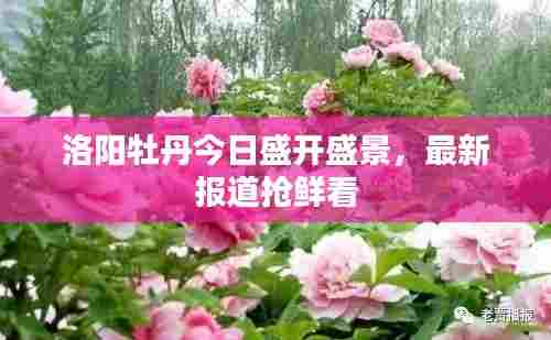 继晷焚膏 第5页