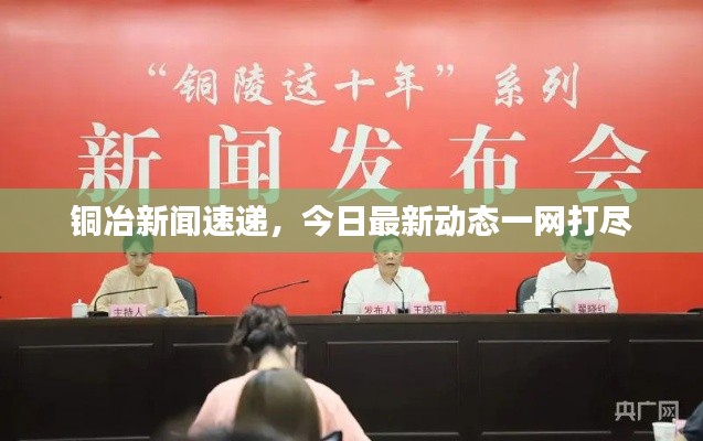 铜冶新闻速递，今日最新动态一网打尽