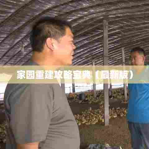 家园重建攻略宝典（最新版）