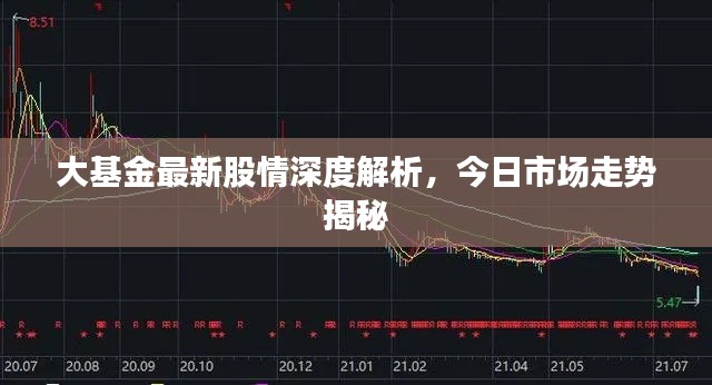 大基金最新股情深度解析，今日市场走势揭秘