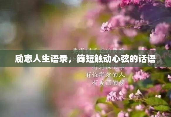 励志人生语录，简短触动心弦的话语