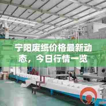 宁阳废纸价格最新动态，今日行情一览