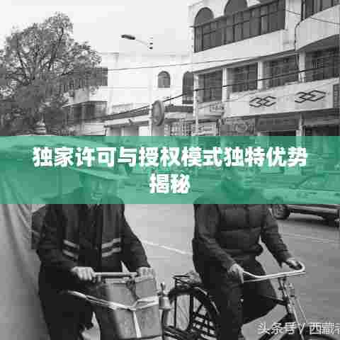 独家许可与授权模式独特优势揭秘