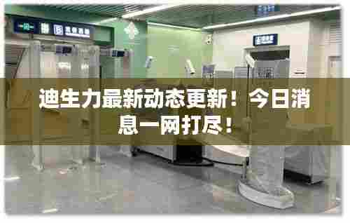 迪生力最新动态更新！今日消息一网打尽！