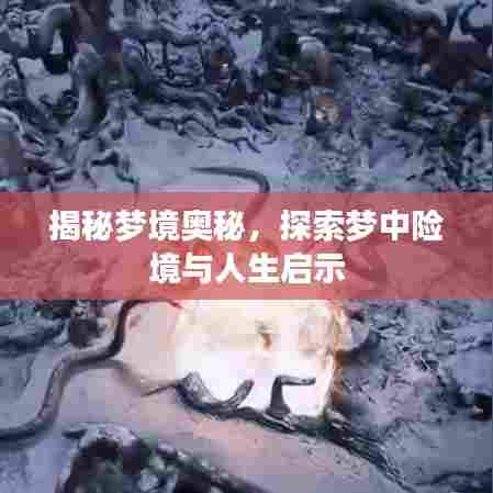 揭秘梦境奥秘，探索梦中险境与人生启示