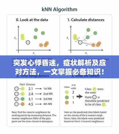 突发心悸昏迷，症状解析及应对方法，一文掌握必备知识！