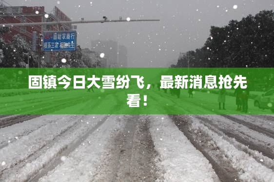 固镇今日大雪纷飞，最新消息抢先看！