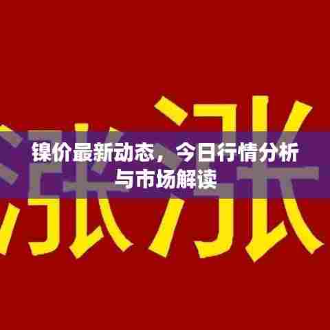 镍价最新动态，今日行情分析与市场解读
