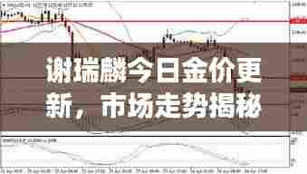 谢瑞麟今日金价更新，市场走势揭秘，影响因素深度剖析