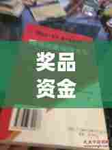 奖品资金落实单，细节决定成败，把握关键保障成功