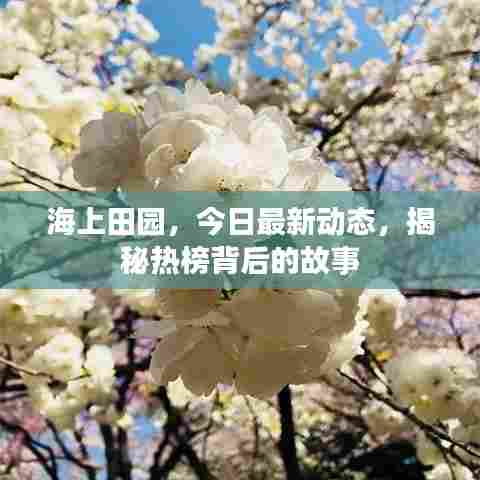 海上田园，今日最新动态，揭秘热榜背后的故事