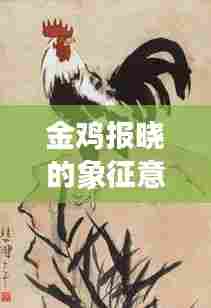 金鸡报晓的象征意义与文化内涵深度解读专题