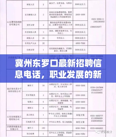 冀州东罗口最新招聘信息电话，职业发展的新起点，求职者的福音！
