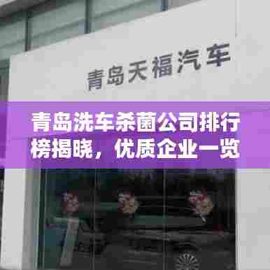 青岛洗车杀菌公司排行榜揭晓，优质企业一览