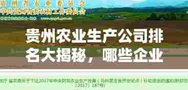 贵州农业生产公司排名大揭秘，哪些企业独占鳌头？
