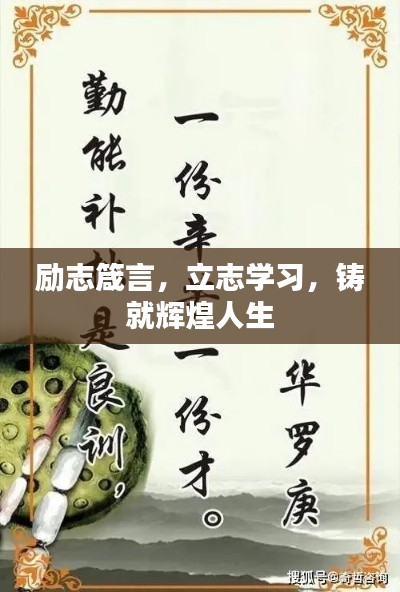 励志箴言，立志学习，铸就辉煌人生