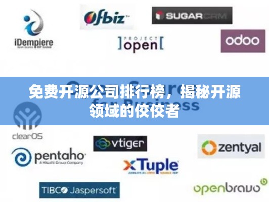 免费开源公司排行榜，揭秘开源领域的佼佼者