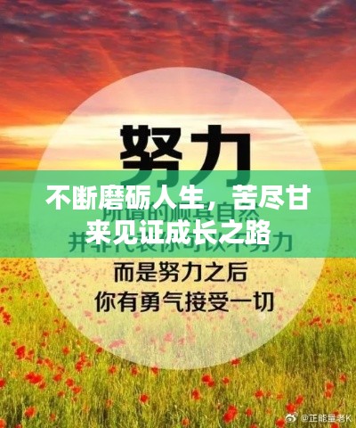 不断磨砺人生，苦尽甘来见证成长之路