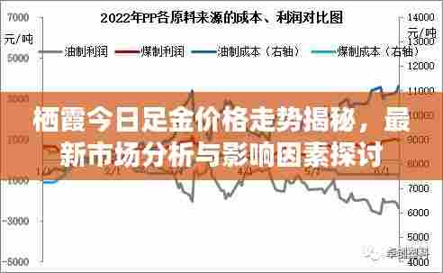 栖霞今日足金价格走势揭秘，最新市场分析与影响因素探讨