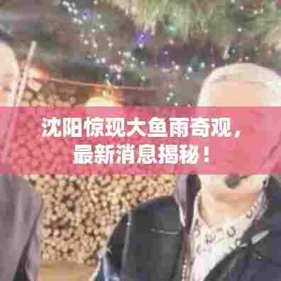 沈阳惊现大鱼雨奇观，最新消息揭秘！