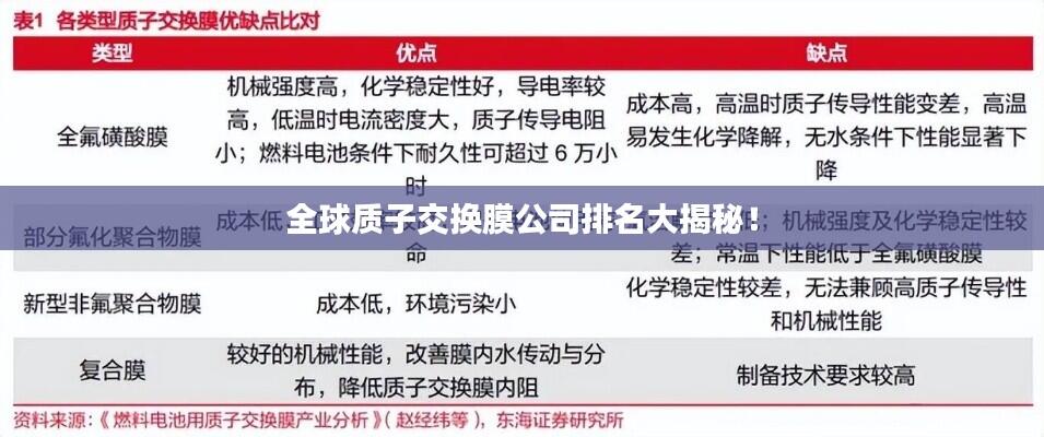 全球质子交换膜公司排名大揭秘！