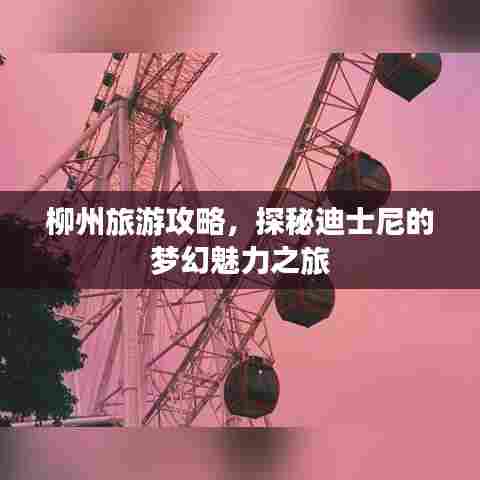 柳州旅游攻略，探秘迪士尼的梦幻魅力之旅