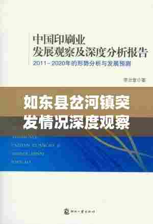 如东县岔河镇突发情况深度观察与分析报告