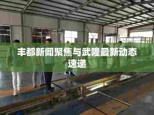 丰都新闻聚焦与武隆最新动态速递