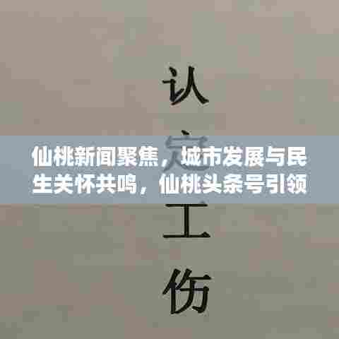 仙桃新闻聚焦，城市发展与民生关怀共鸣，仙桃头条号引领时事热点