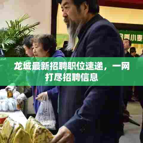龙城最新招聘职位速递，一网打尽招聘信息