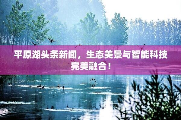 平原湖头条新闻，生态美景与智能科技完美融合！
