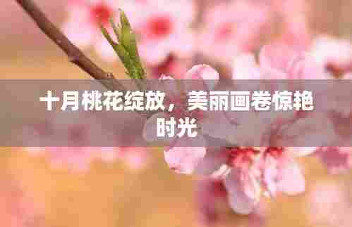 十月桃花绽放，美丽画卷惊艳时光