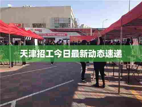 天津招工今日最新动态速递