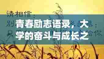 青春励志语录，大学的奋斗与成长之旅