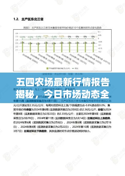 五四农场最新行情报告揭秘，今日市场动态全解析
