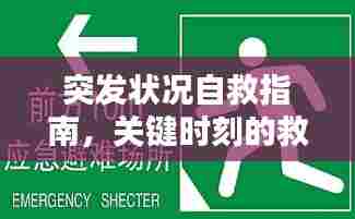 突发状况自救指南，关键时刻的救命答案
